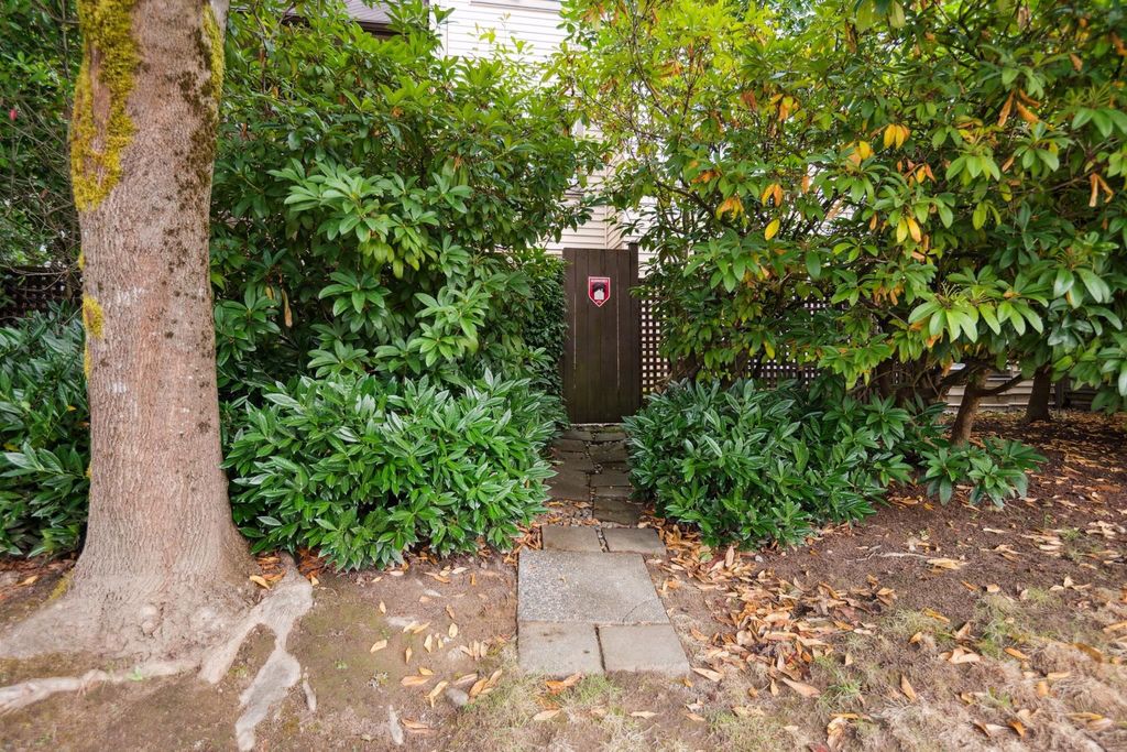 listing image 1105899211554289722