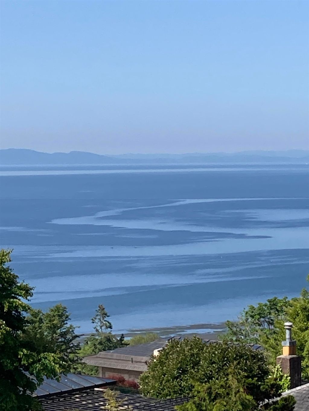 listing image 1103069524068090521