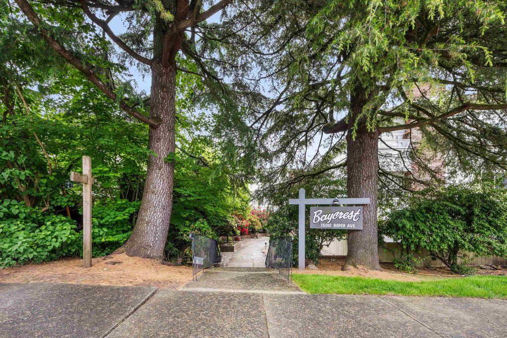 listing image 1109009012284423241