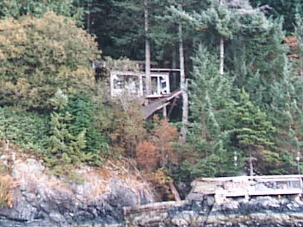 listing image 1104919097819589433