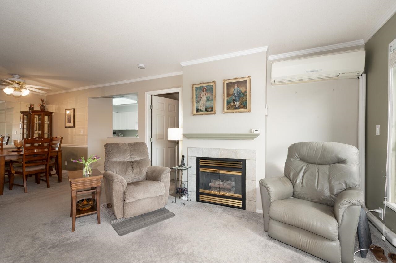 223 Mountain Highway P03