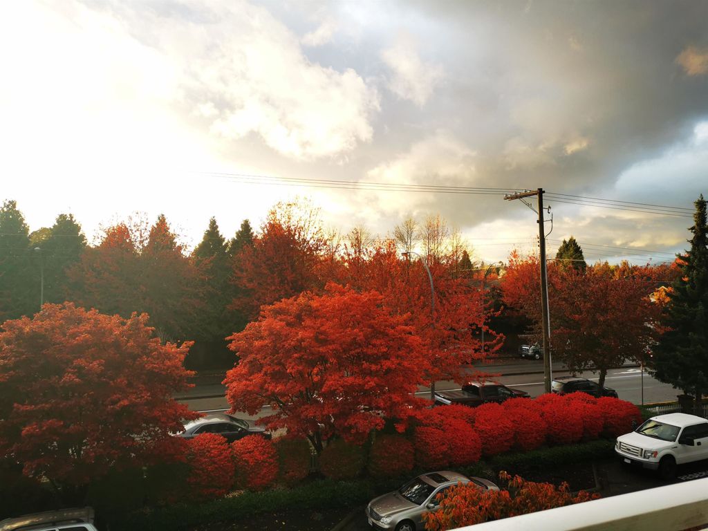 listing image 1102444590327169317