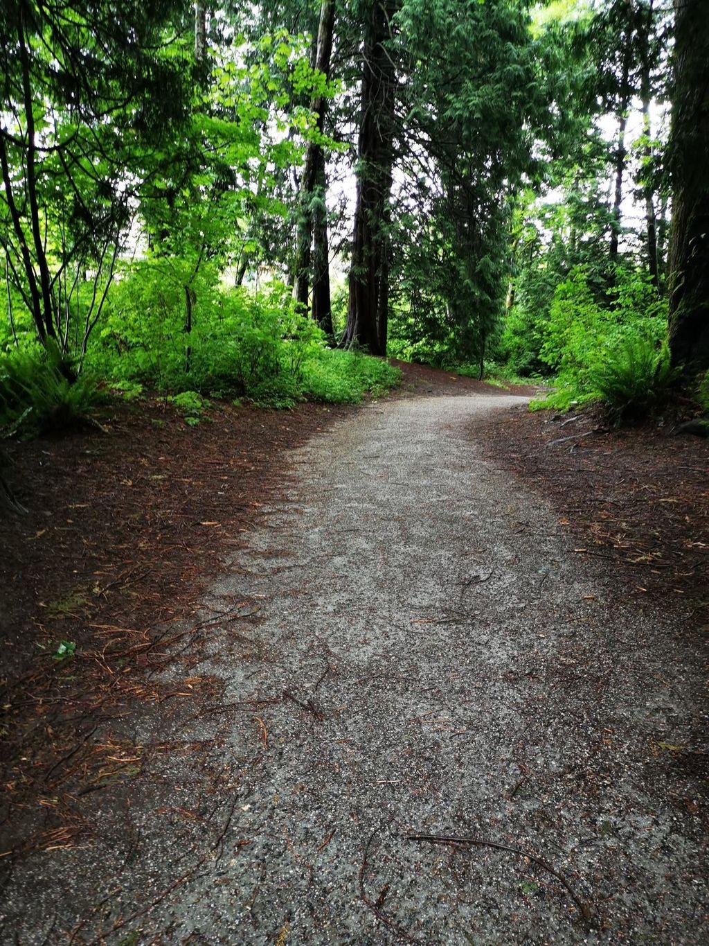 listing image 1104670473673553372