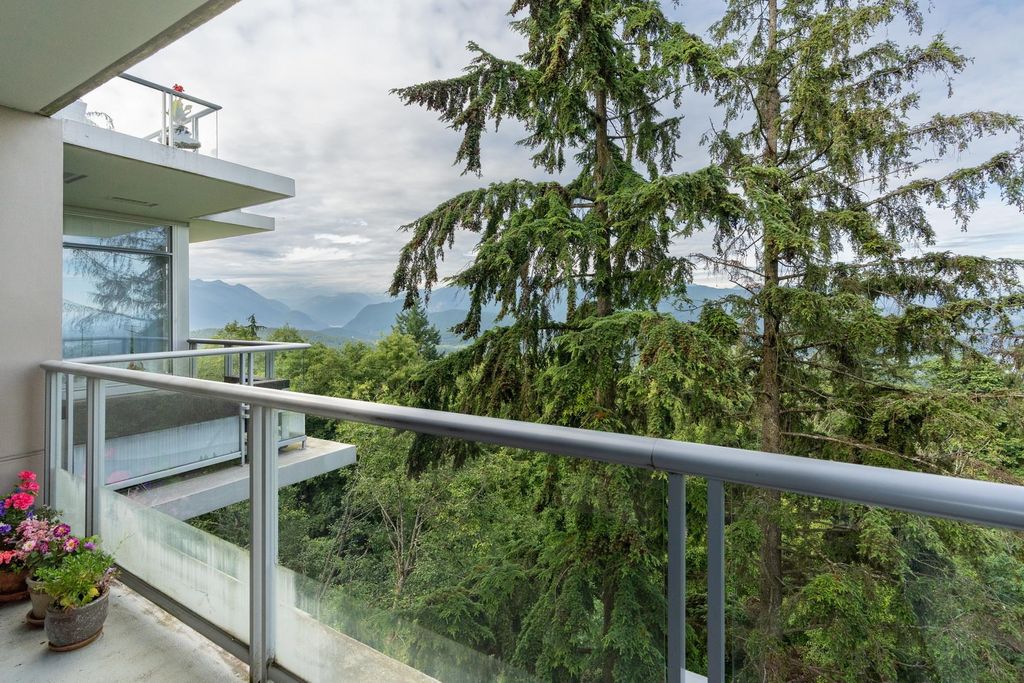 listing image 1104150830550744590