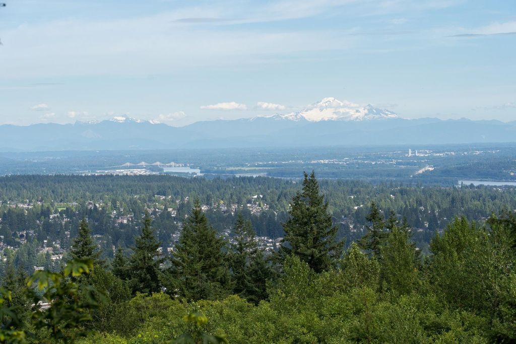 listing image 1106077906157070836