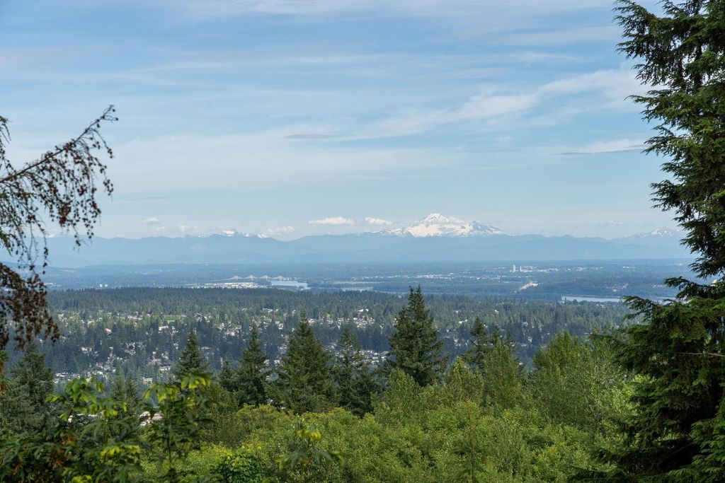 listing image 1103805444314369121