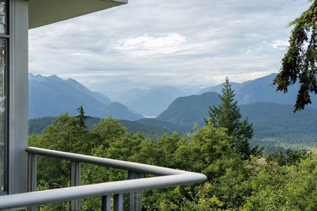 listing image 1100624201447941304