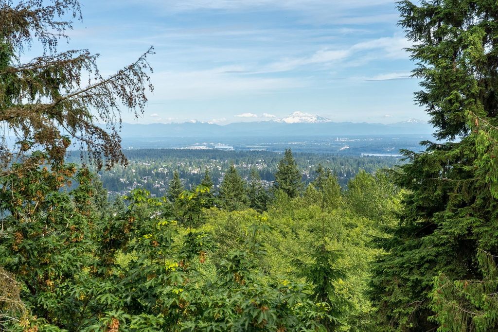 listing image 1101030409744999021