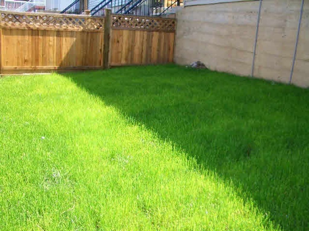 listing image 1101896275866135966