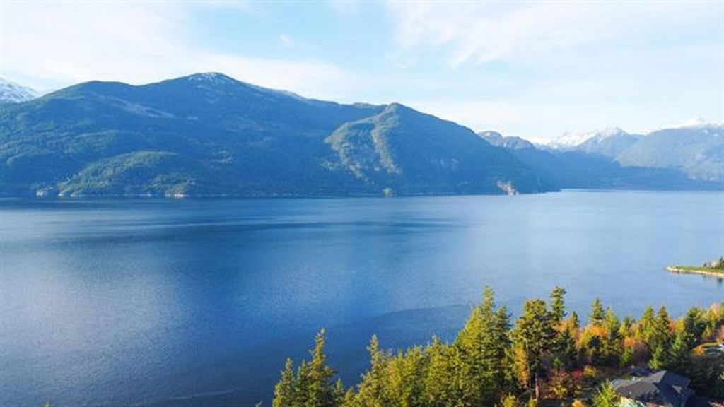 listing image 1100279181490922343