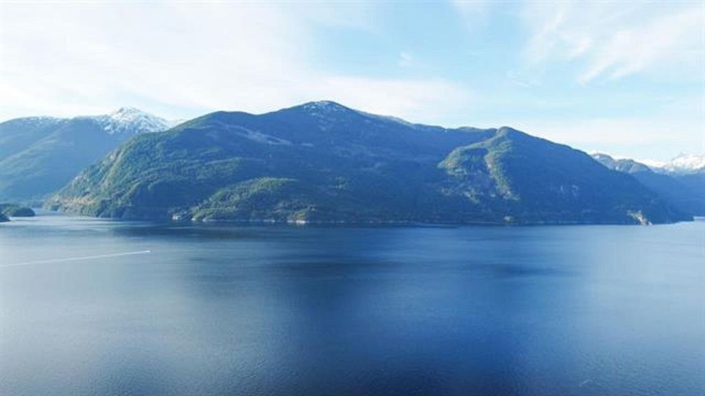 listing image 1100345261909427589