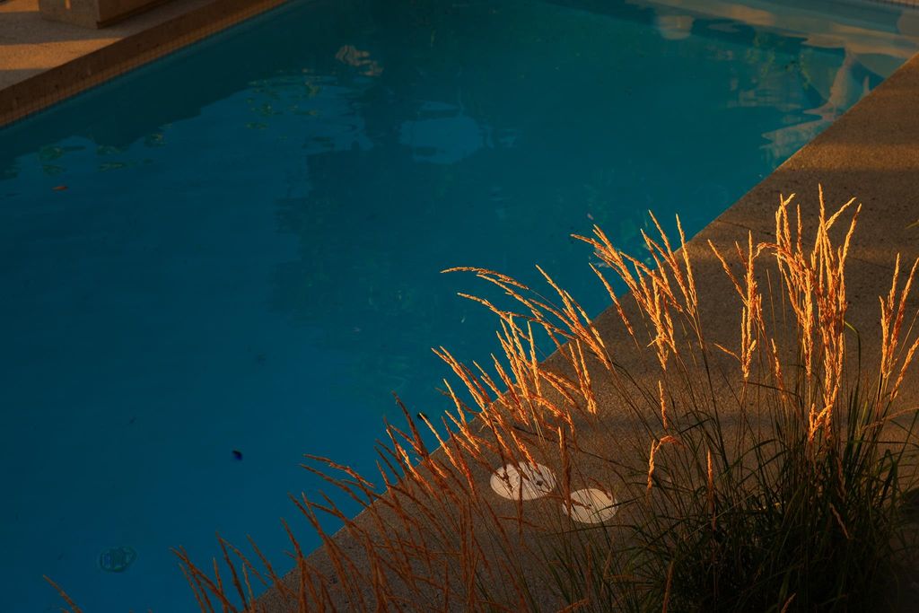 listing image 1108105992182755070