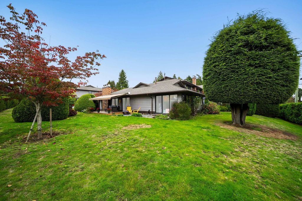 listing image 1102267455524889619