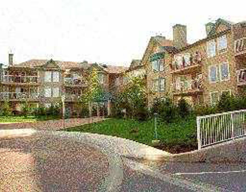 listing image 1103212069938136153