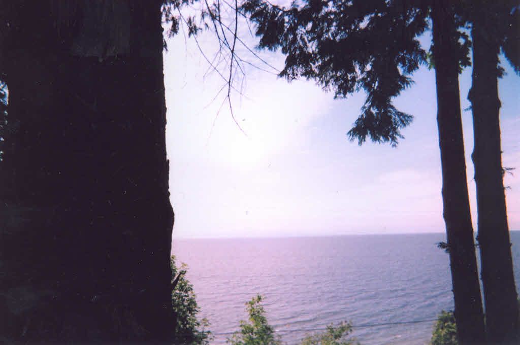 listing image 1107572217350075975