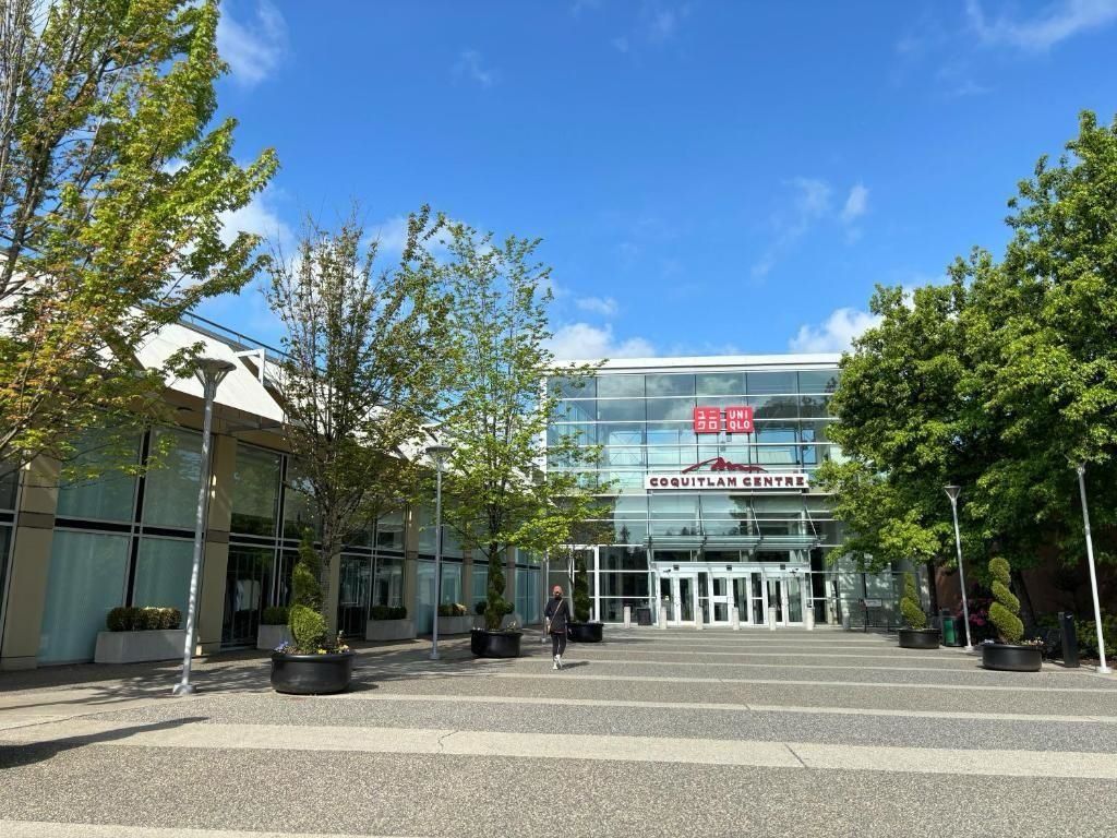 listing image 1102541717761876521