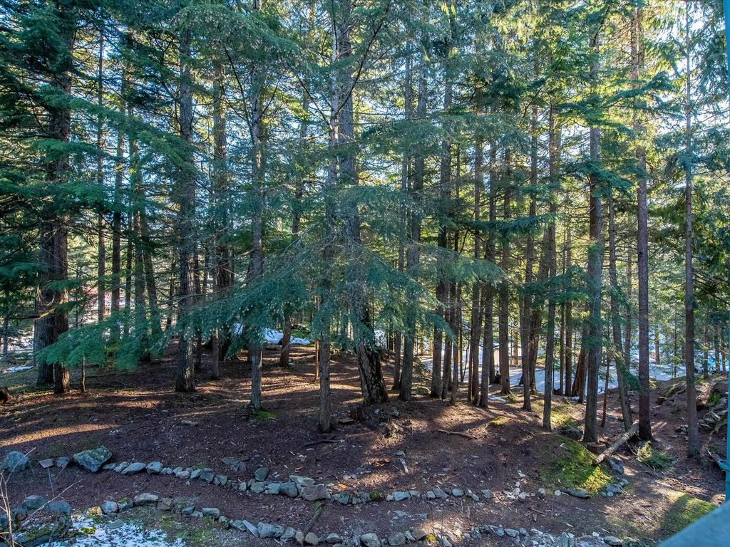 listing image 1105706284403719431