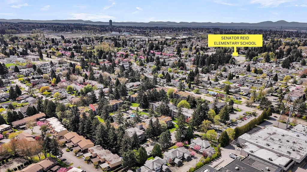 listing image 1109977786074422009