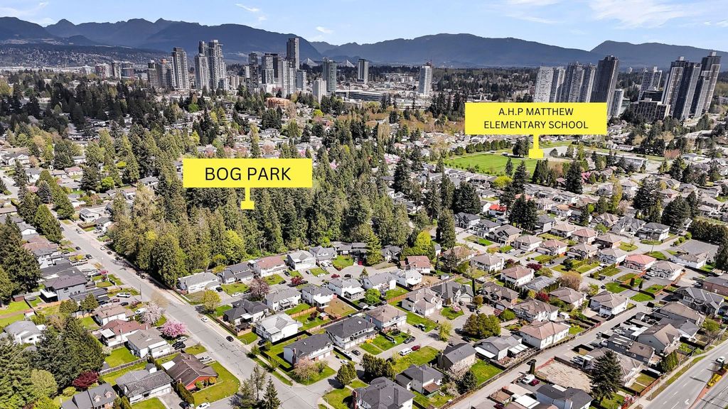 listing image 1100121570240751317