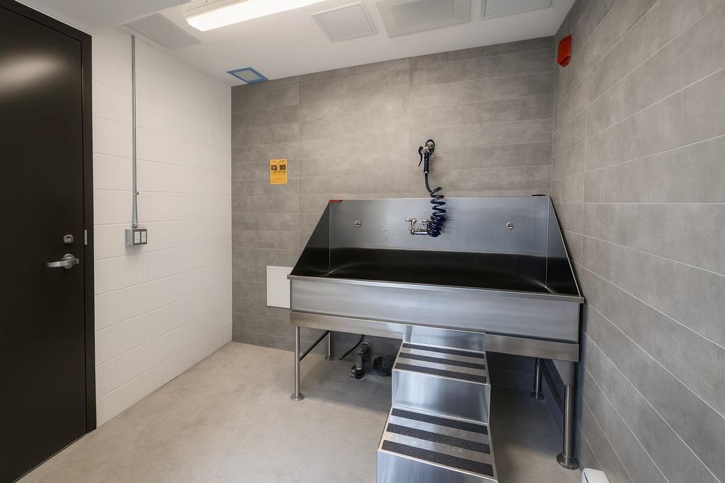 listing image 1101879207959496705