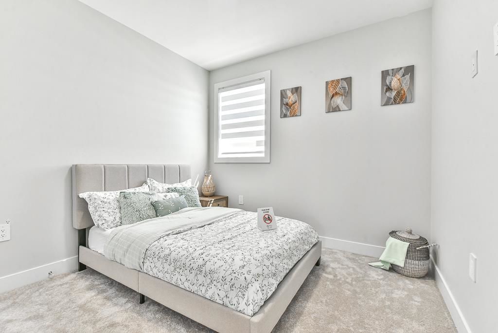 listing image 1101175145842322661