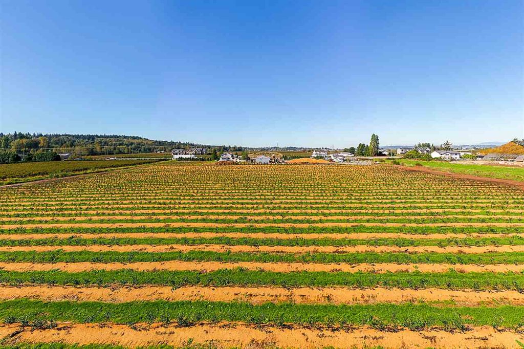 listing image 1106982394781854622