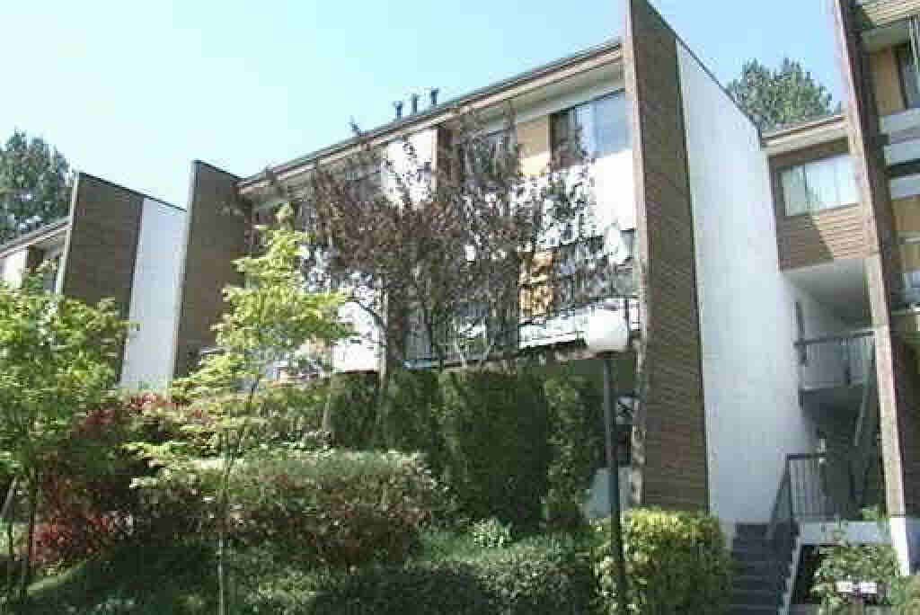 listing image 1107415301831491540