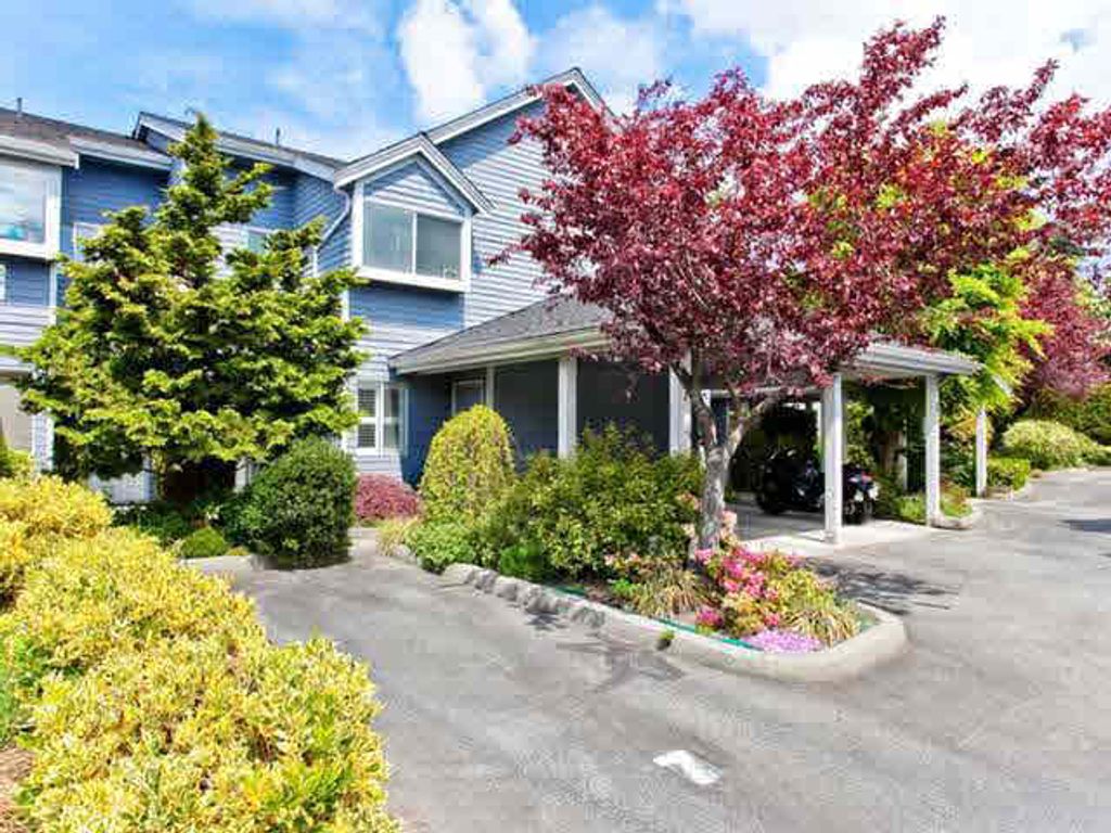 listing image 1100613393976966698