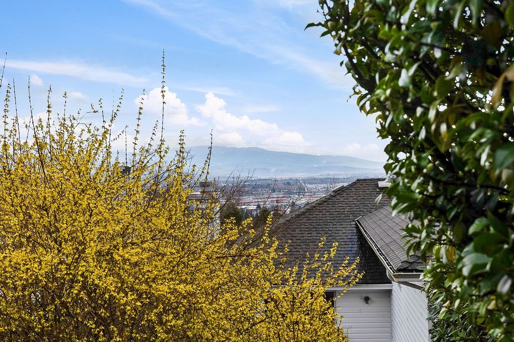 listing image 1106495159786979499