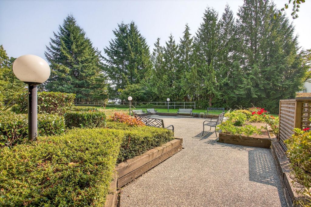 listing image 1104458529254054255