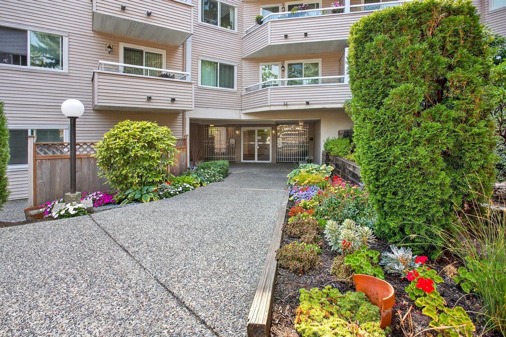 listing image 1107288556698129195