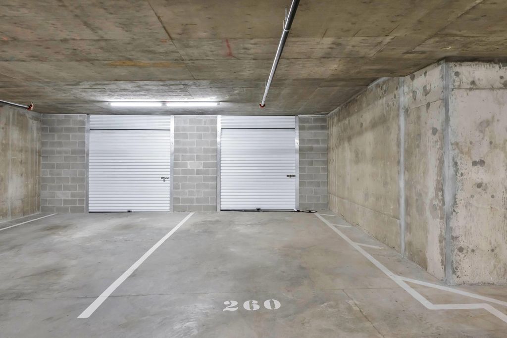 listing image 1101415289549808228