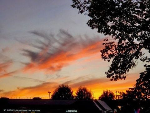 20554 118 Avenue 12 Maple Ridge BC V2X 0S3