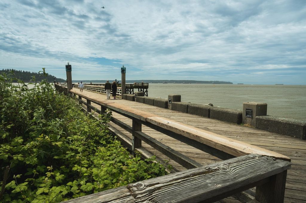 listing image 1105303147714343542