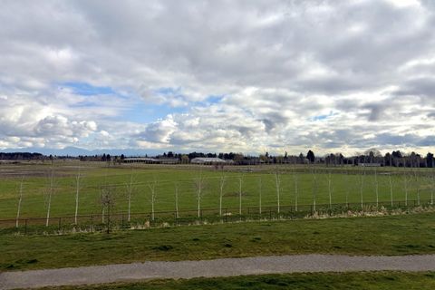 6233 London Road 202 Richmond BC V7E 6R7