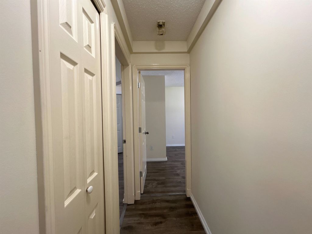 listing image 1100779736361428204