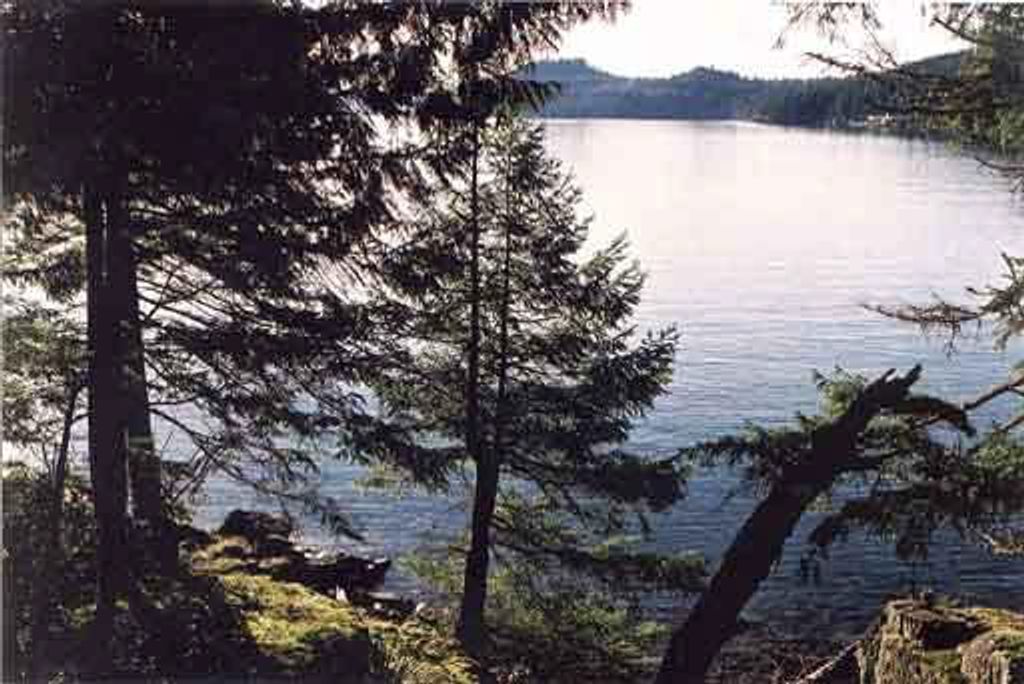 listing image 1107464882106710915