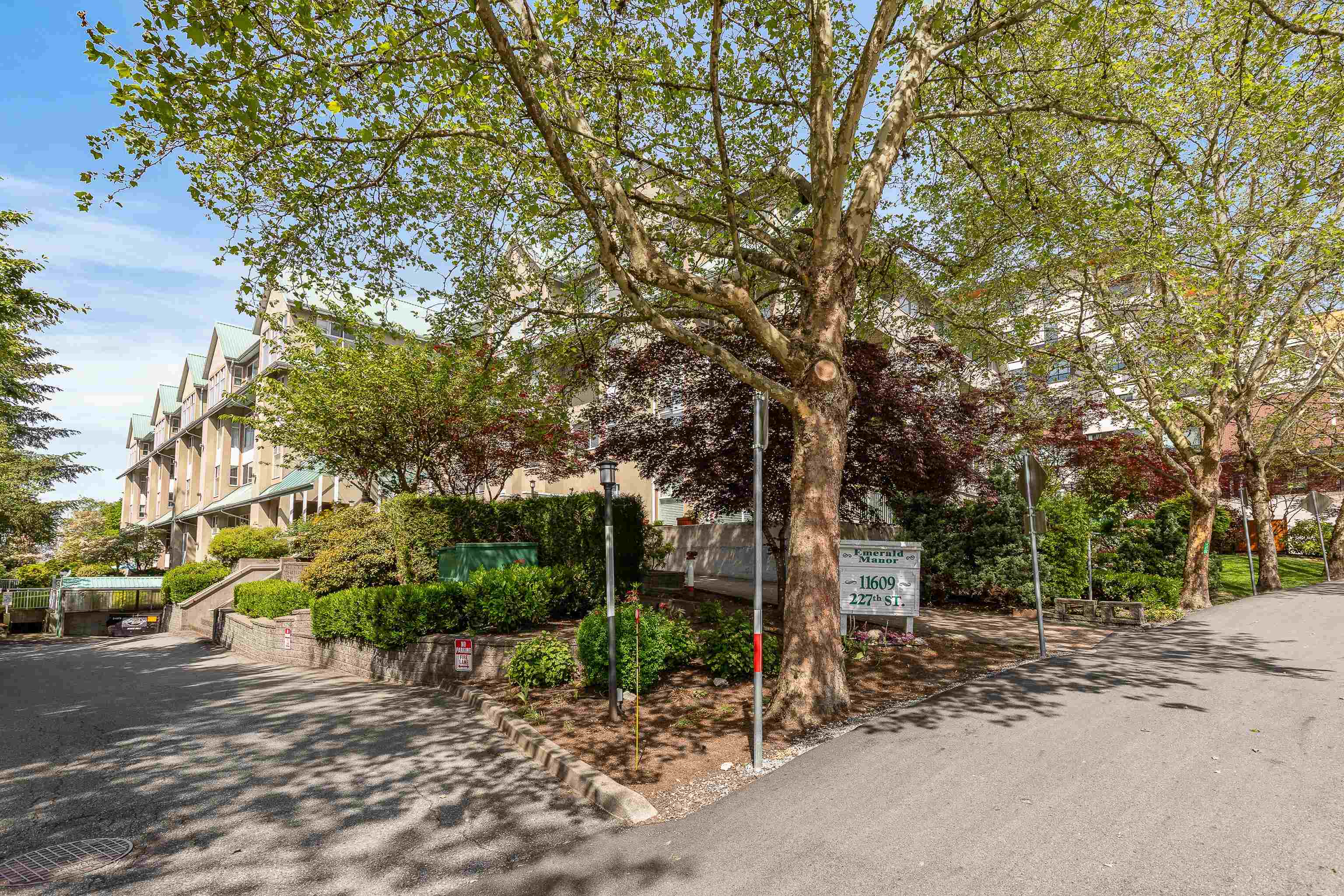 11609 227 Street 310