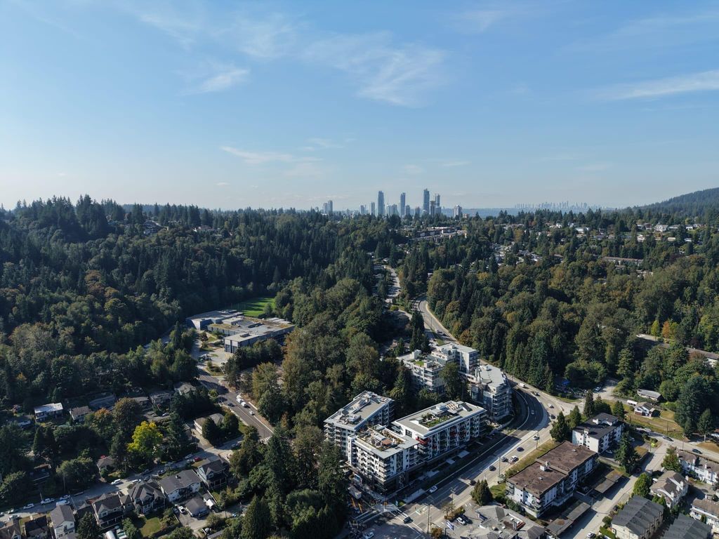 listing image 1104409615829577339