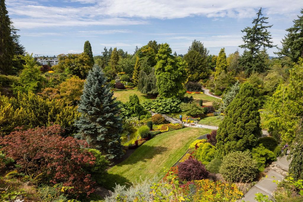 listing image 1106234295003328989