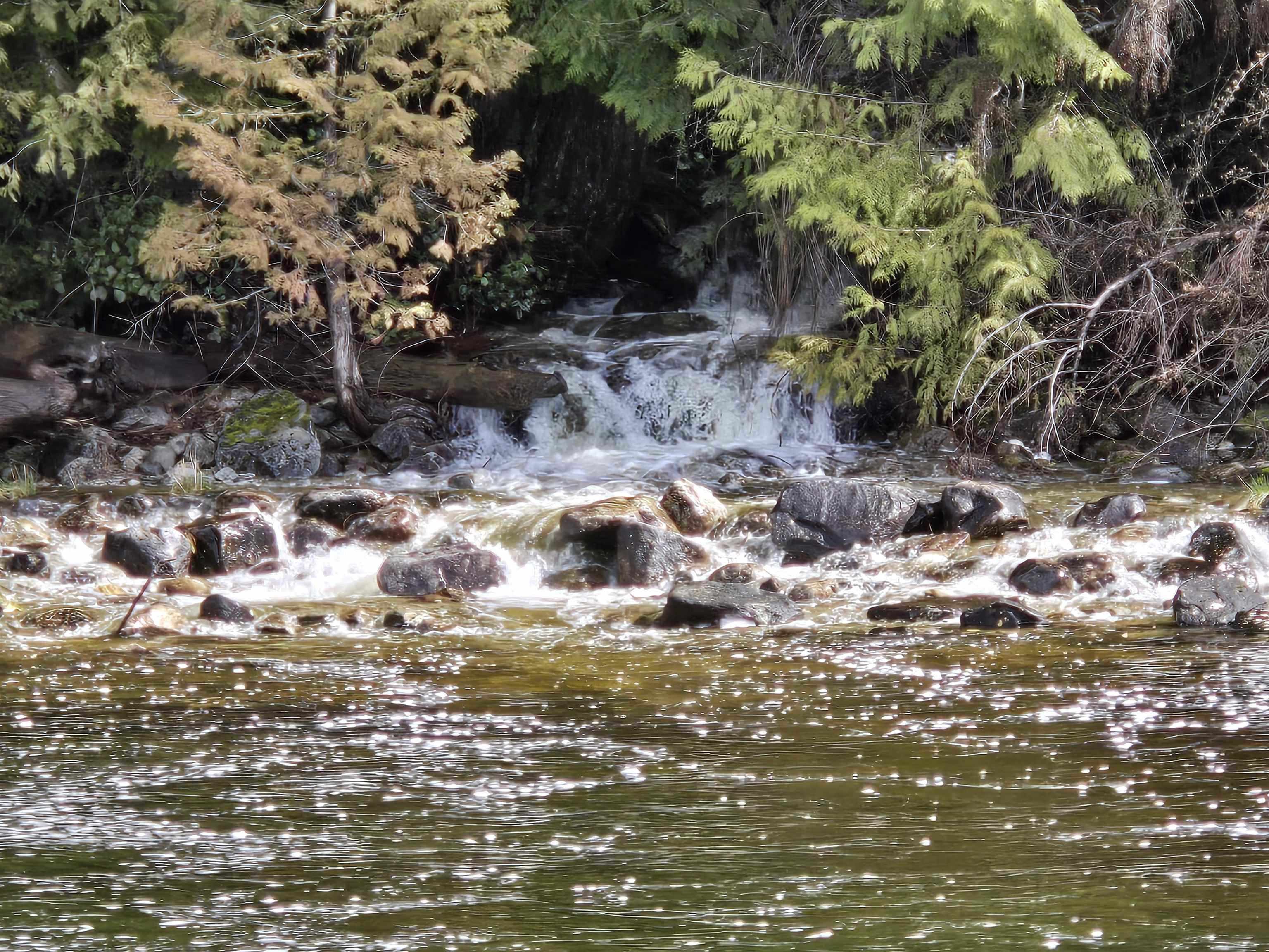 Lot 4 Williams Landing Landing