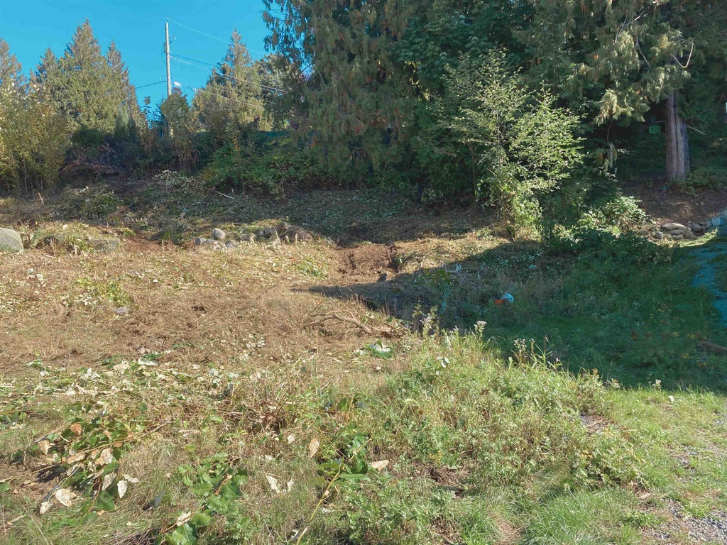Photo of 7321 Marble Hill Road, Chilliwack, BC V4Z 1J5 (MLS # R3167477)