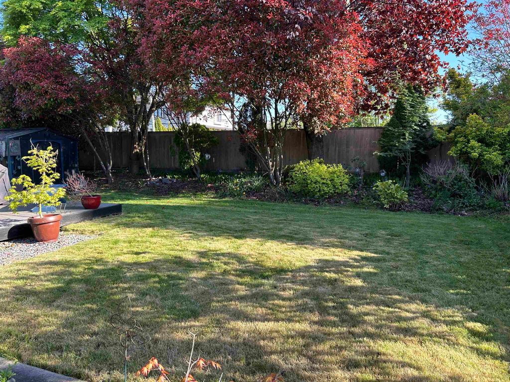 listing image 1109865175799839728