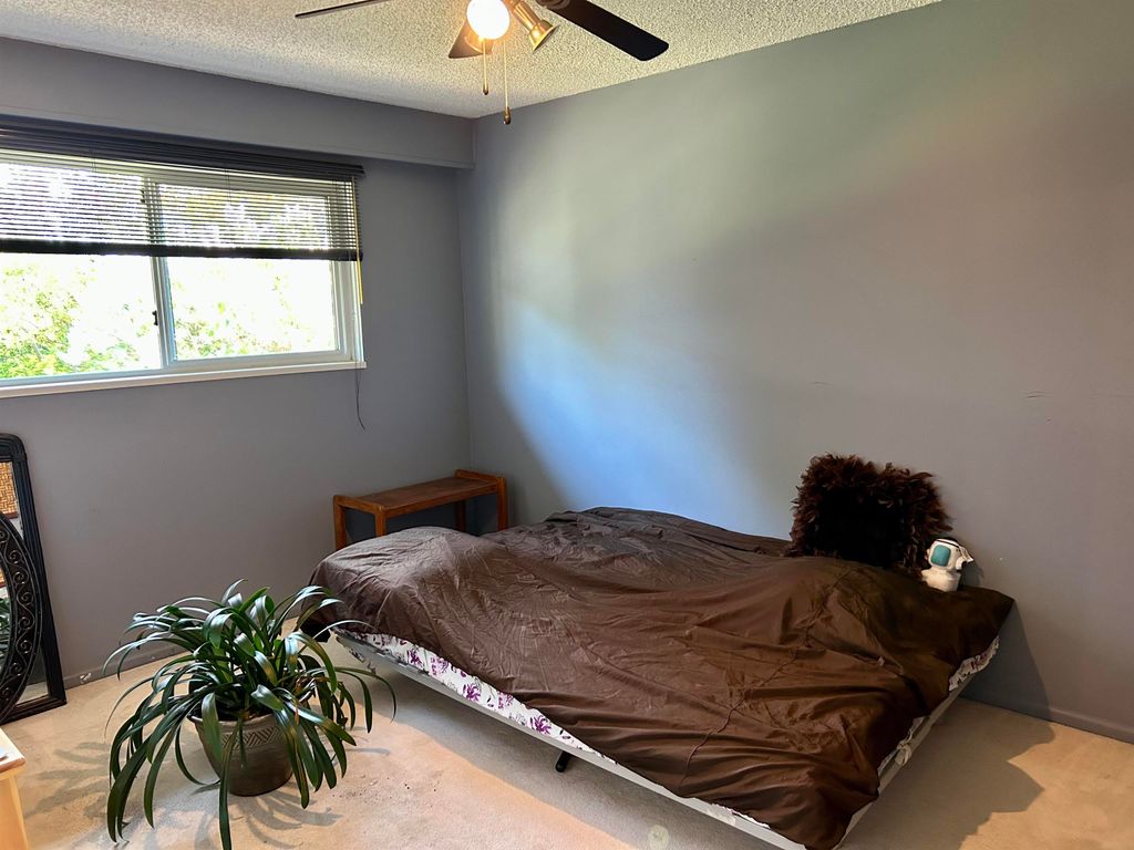 listing image 1105699801784024957