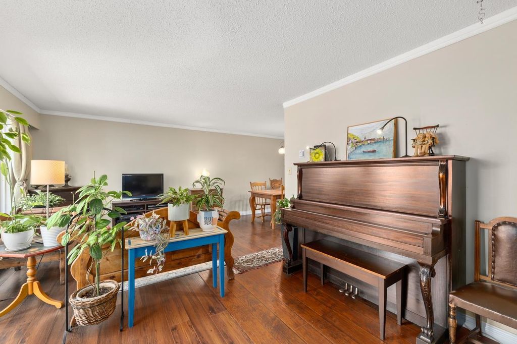 listing image 1102414471131195840