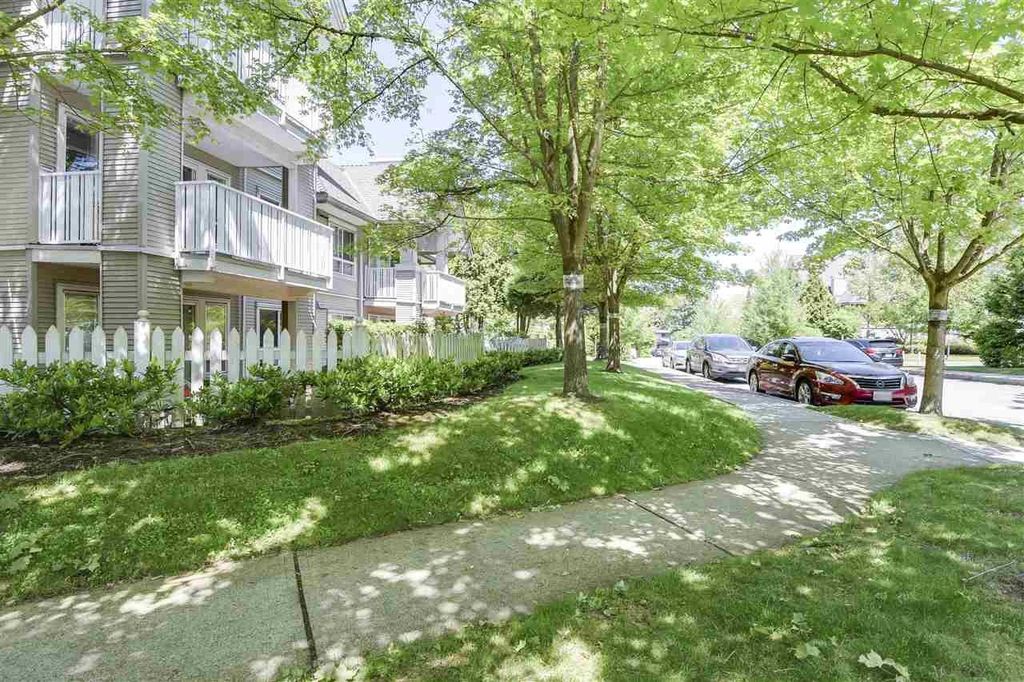 listing image 1101029393246735152