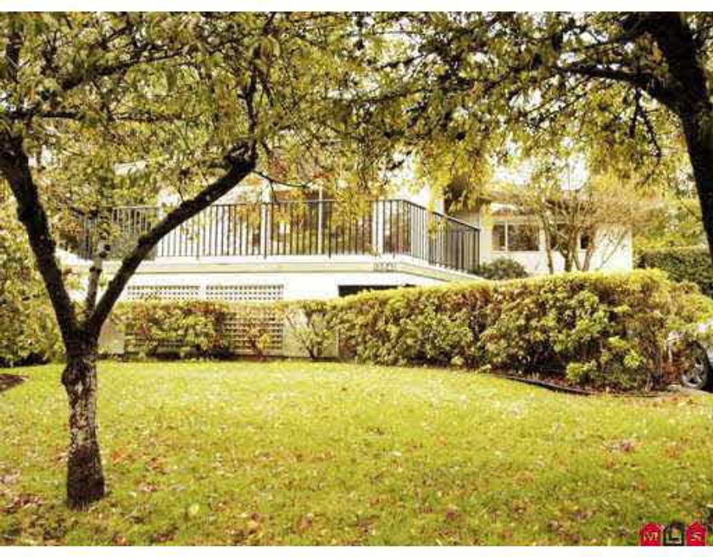 listing image 1100026207887983256
