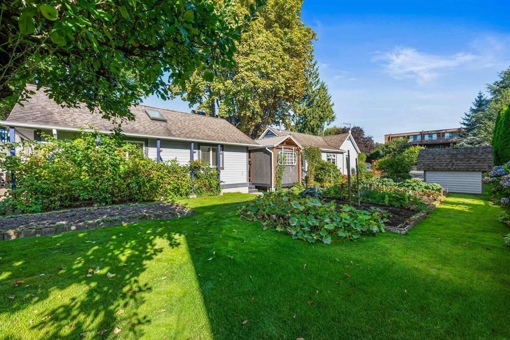 listing image 1100952104482190424