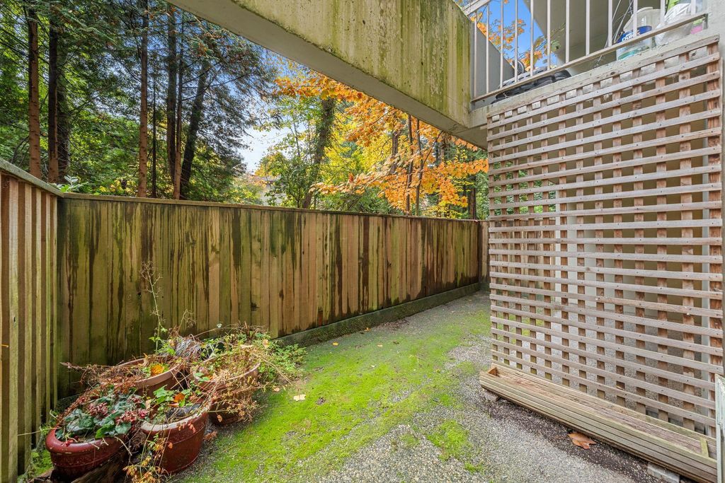 listing image 1103703856681776204