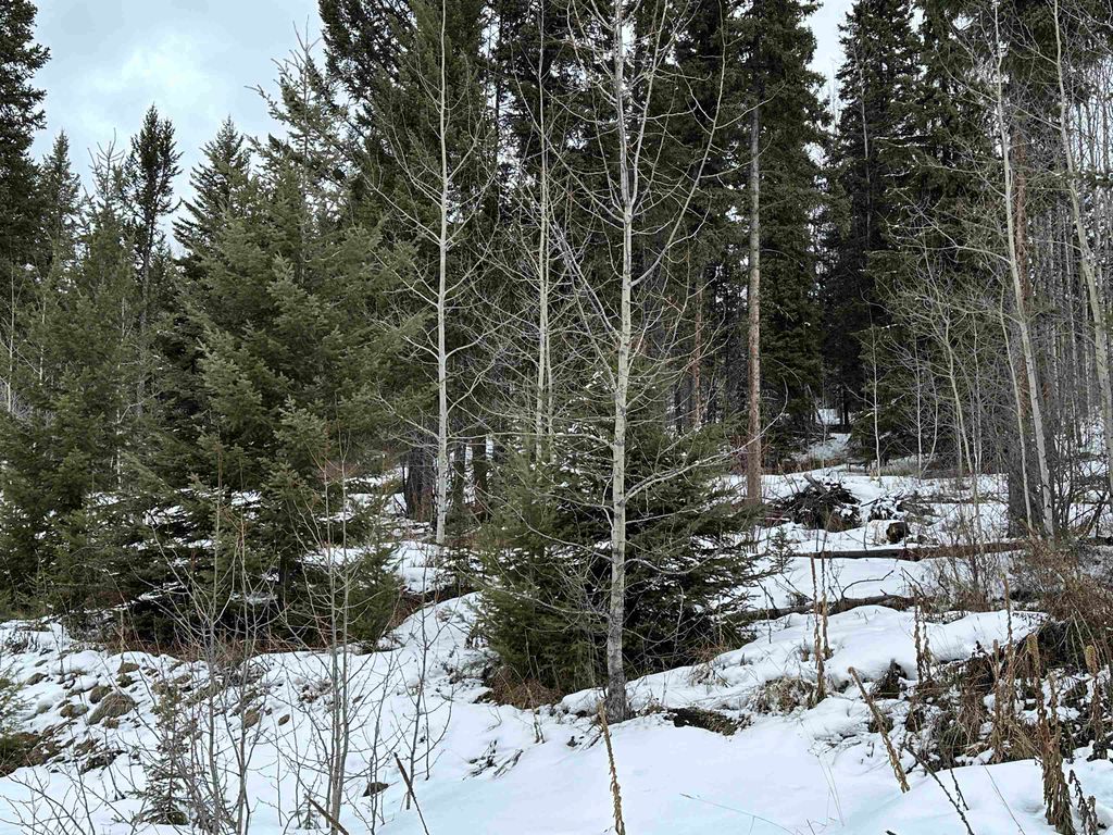 listing image 1106215803260599164